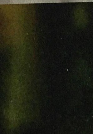 Guadalupe Lupita Hinojosa Obituario Brownsville TX guadalupe-lupita-hinojosa-obituario-brownsville-tx