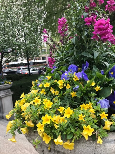 Obituary of Mary Ellen Denman