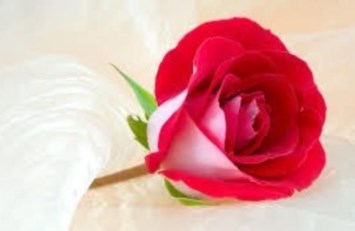 Obituary of Pong Xiong