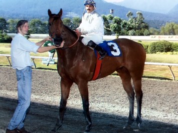 Obituary of Gregory Wade Gafka