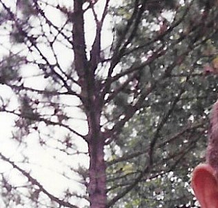 Donald Keith Hall Obituary Richfield, MN