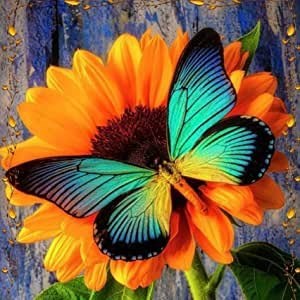Obituary of Beverly Sue Lacey