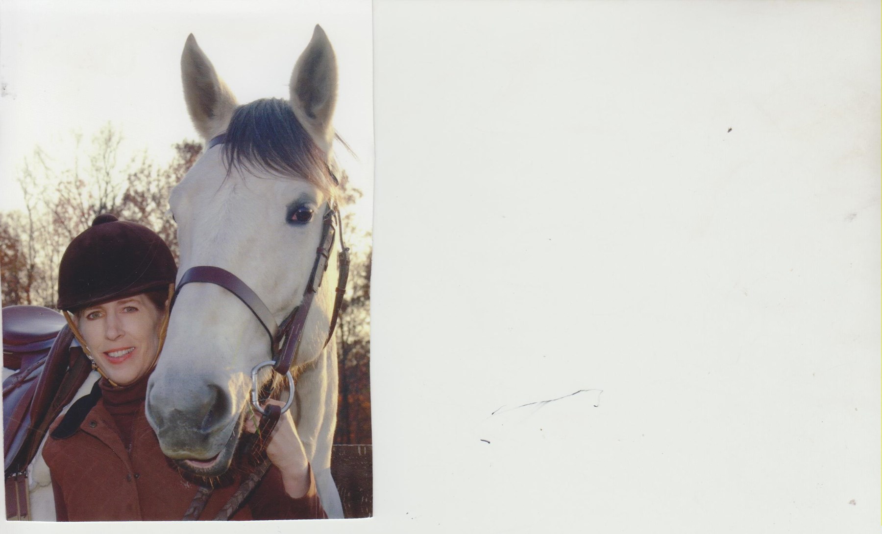 Obituary of Shellyn Gae McCaffrey