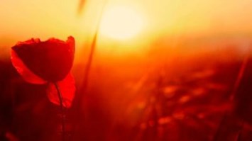 Obituary of Barbara Geneva Hutto