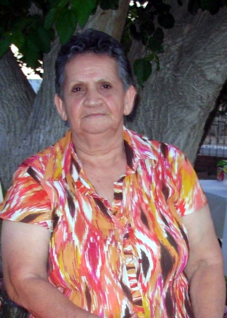Obituary of Elena Silva Navarro