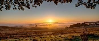 Obituary of John Petty