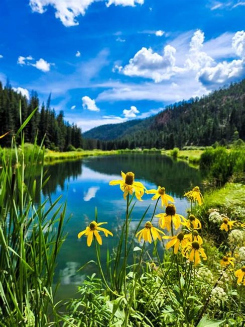 Obituary of Todd Arthur Towers