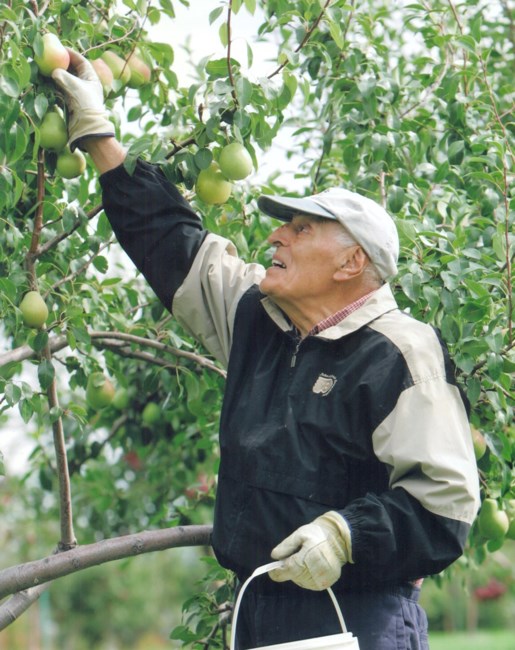 Obituary of Wilfred Kaneb