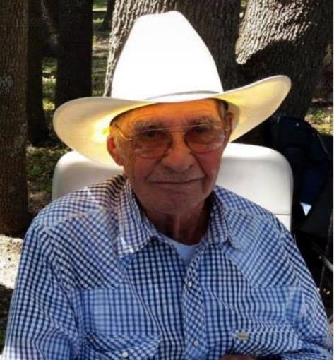 Obituary of Carol Cox