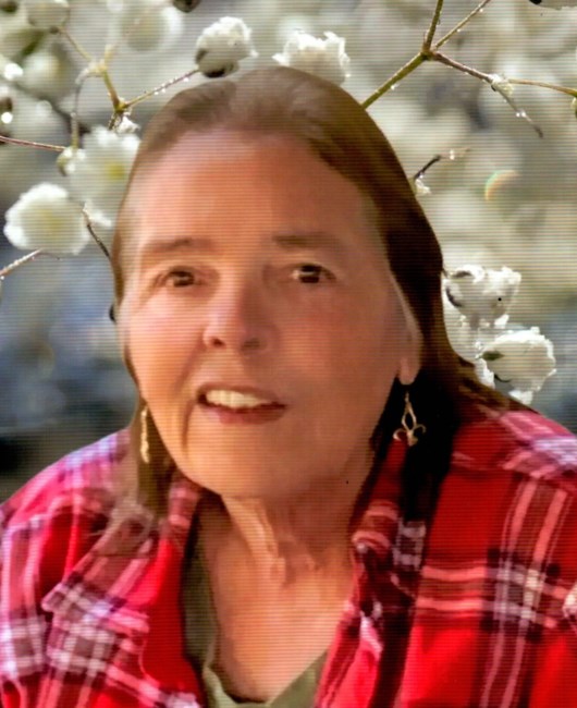 Avis de décès de Theresa Linda Dinet