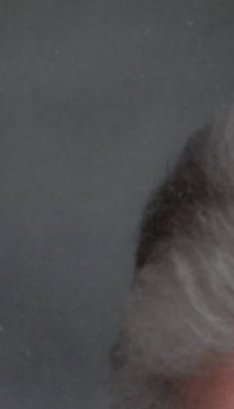 Pauline Mary Nielsen Obituary Bonita Springs FL pauline-mary-nielsen-obituary-bonita-springs-fl