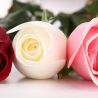 Obituary of Ruby L. Bryan