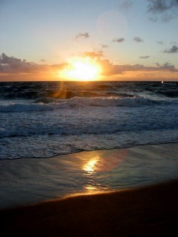 Obituary of Warren Everett Roberts Jr.