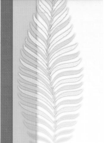 Obituary of William Slaughter