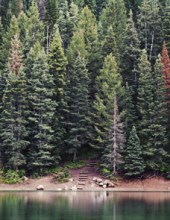 Obituary of Louis H. Moe