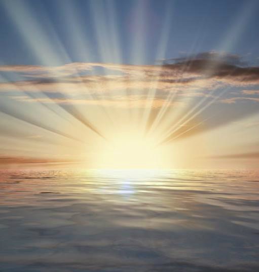 Obituary of Elizabeth D Crowley