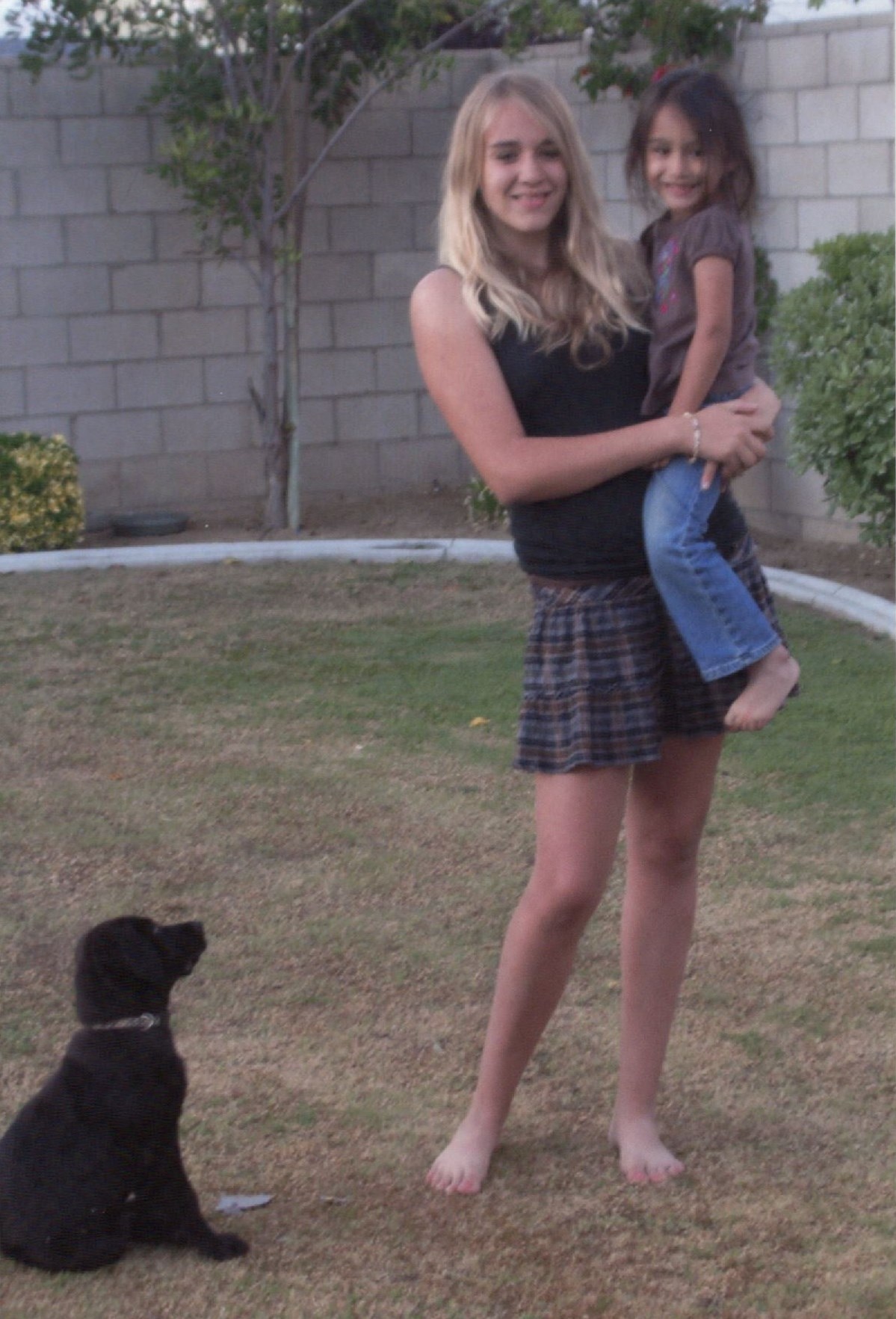 hazelwood pet cremation