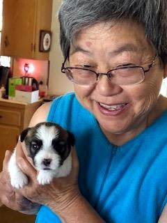 Obituary of Florence Asako Naylor