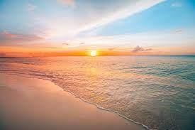 Obituary of William Harvey Haggard Jr.