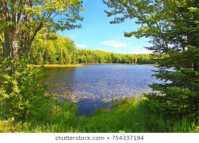 Obituary of Glen Earl Zook