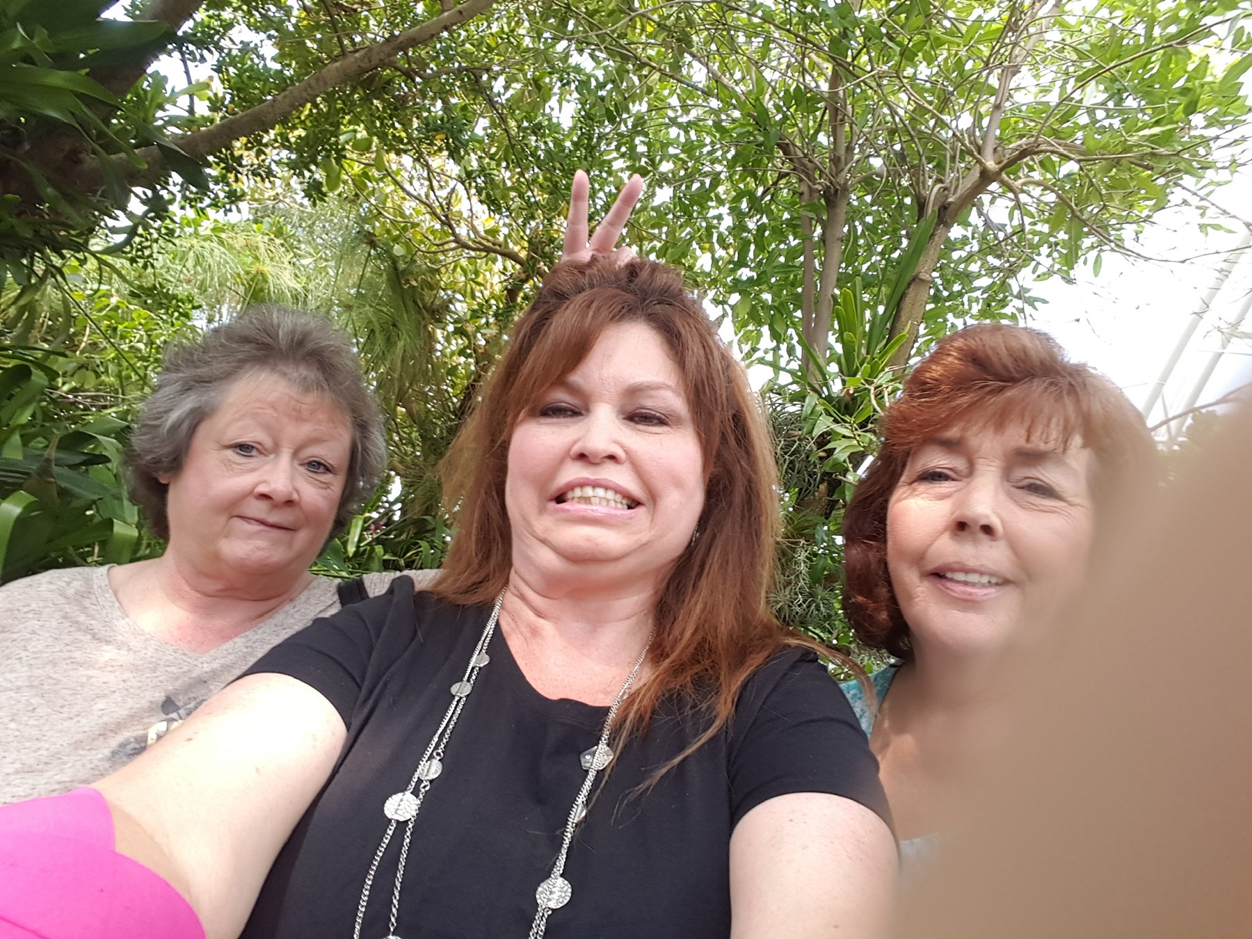 penny-wheeler-obituary-richardson-tx