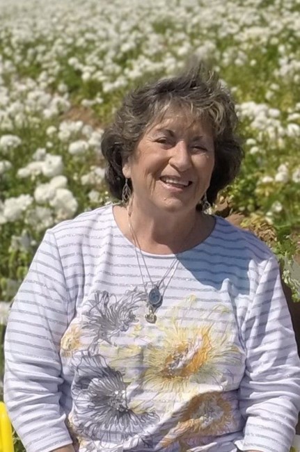 Obituary of Patricia Anne Baldoni