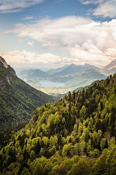 Obituary of Clarence Anaya