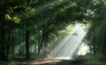 Obituary of Harold Wayne Guerra