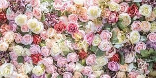 Obituary of Lorraine Rae Richard