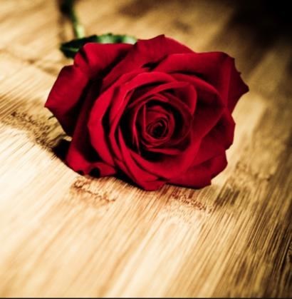 Obituary of Maria Antonia Martinez Morales