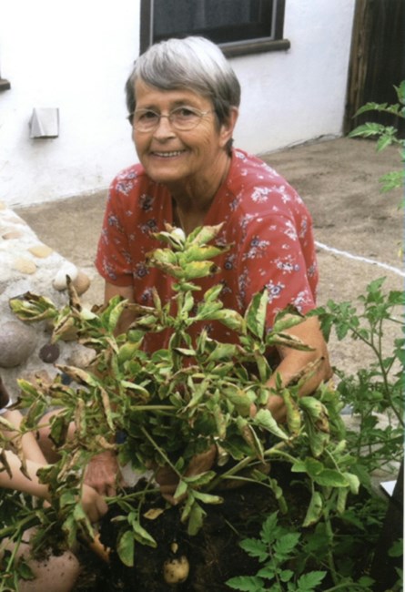 Obituary of Nancy Jean Peterson