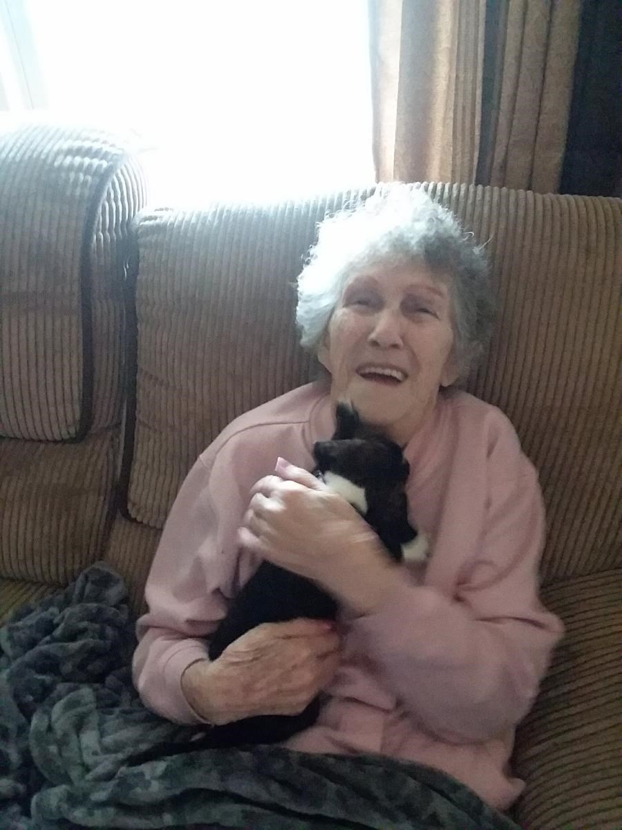 Obituary of Lorraine A. Anderson