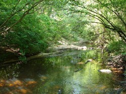 Obituary of Shane Allen Stinson