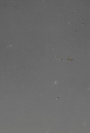 Albert D. DeBlois Obituary Montreal, QC