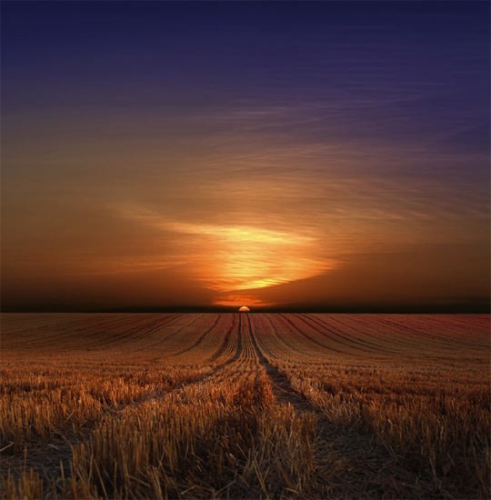 Obituary of John Robert Williams