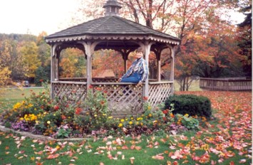 Obituary of Darlene Monaghan Camp