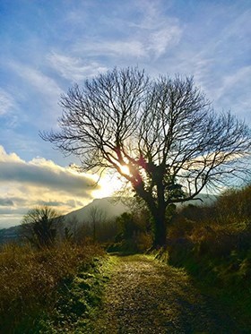 Obituary of Richard Ivan Kearing