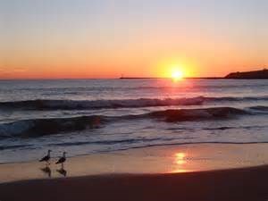 Obituary of Violet Leona Haselhuhn