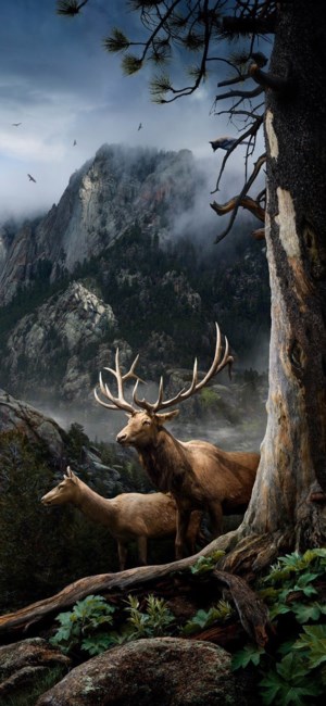 Obituary of Glen Jarold Eaton