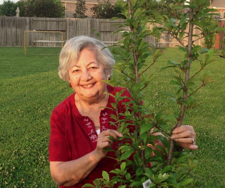 Obituary of Elizabeth Cruz Garcia
