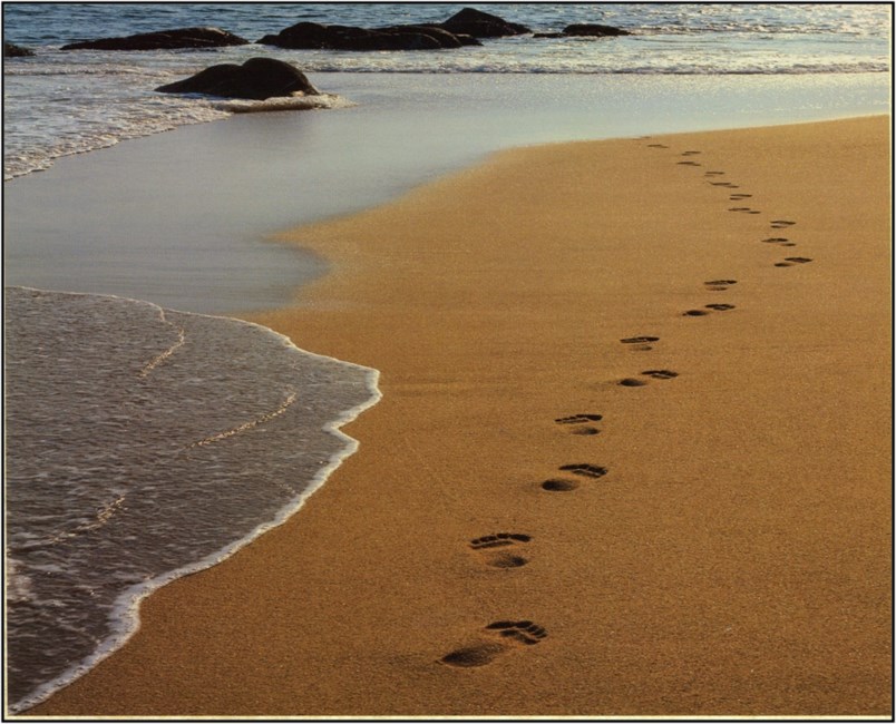 Obituary of Rebecca Jordan Gay