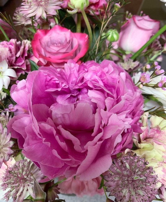 Obituary of Linda J Sloan