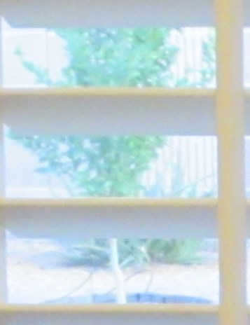 Richard Koeh Obituary Waco Texas June 2025