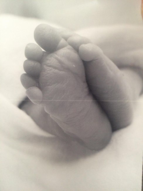 Obituary of Jack Alexander Daniels