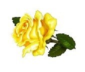 Obituary of Jamie Lyn Bull