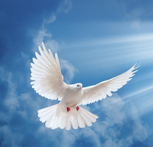 Obituary of Dale Alan Smart