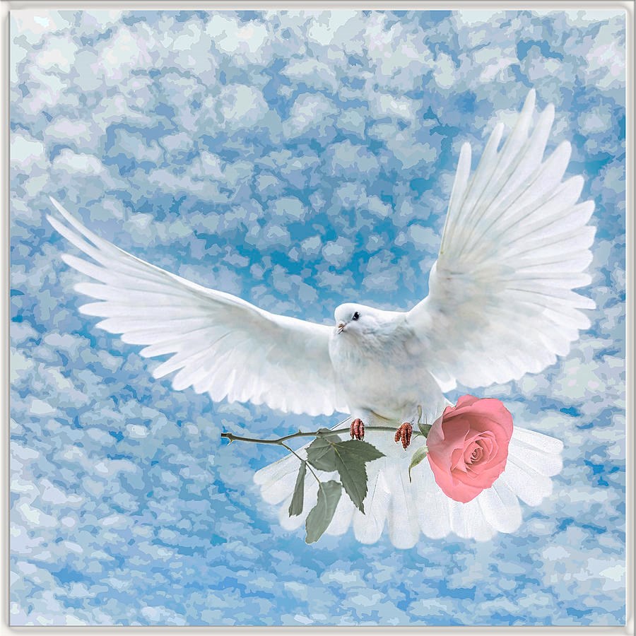 Martha Paiz Obituary Palm Bay, FL