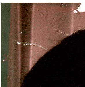 Ronnie Lynn Rozell Obituary - Tyler, TX