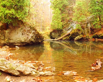 Obituary of Roy Clark House