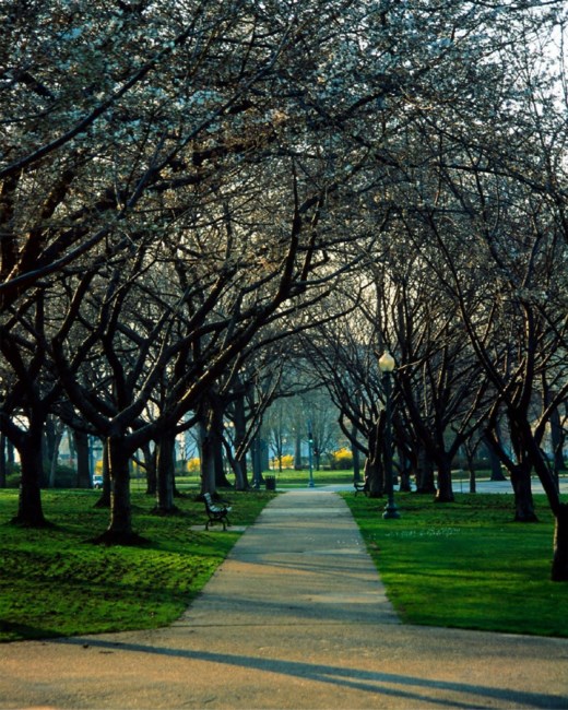 Obituary of Richard "Doug" D. Phillips